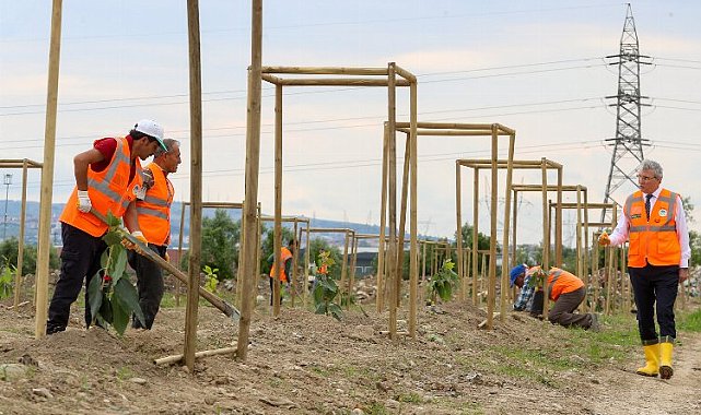 Sakarya'da meyve bahçesinde üretim başladı