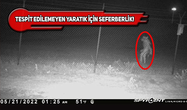 Texas'ta Güvenlik Kamerasına Yansıyan Tuhaf Yaratık