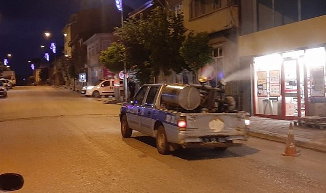 Bilecik Pazaryeri'nde vektörel mücadele