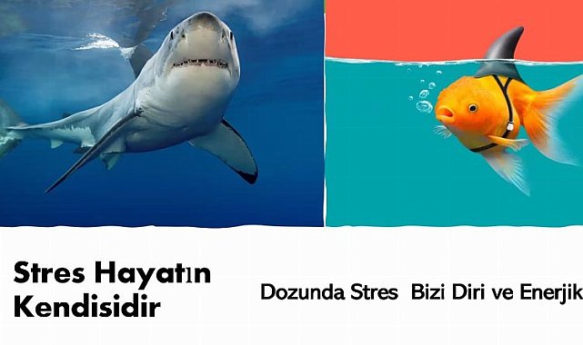 BTSO Akademi iş dünyasına yönelik eğitimlerini sürdürüyor