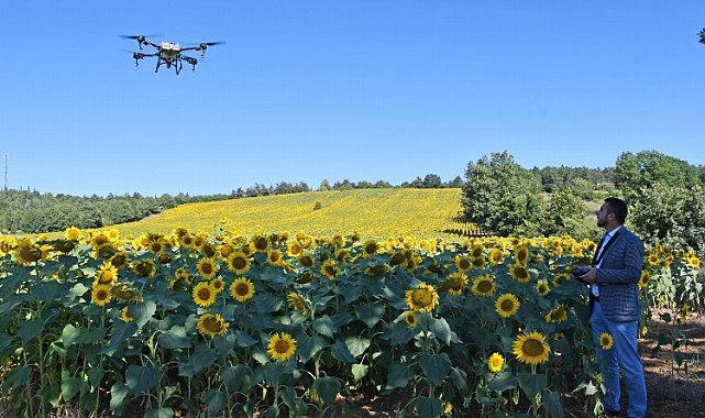 Bursa Kestel'de 'çayır tırtılı'na drone önlemi