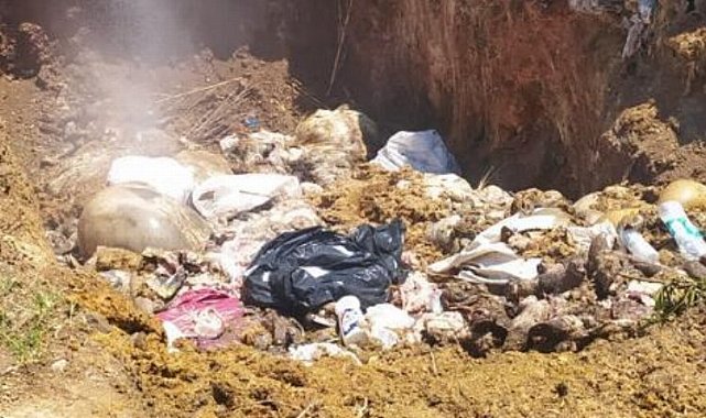 Bursa Mudanya'da karasineğin nedeni ihmal