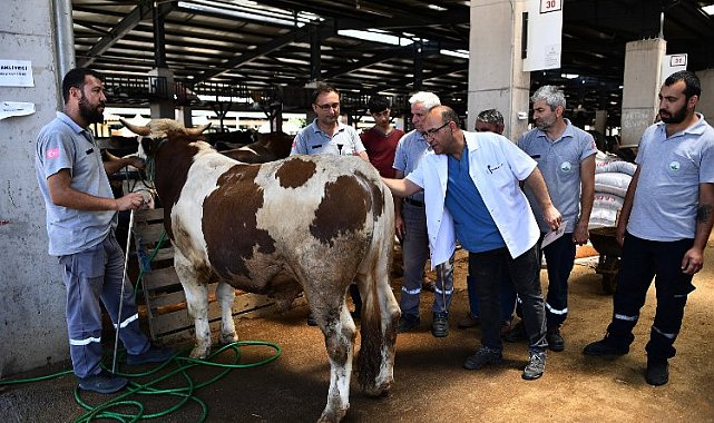 Bursa Osmangazi'de bu 'TİM'den kaçış yok!