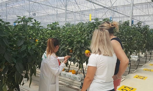 Bursa'da 45 çeşit üründe 'iyi tarım' denetimi