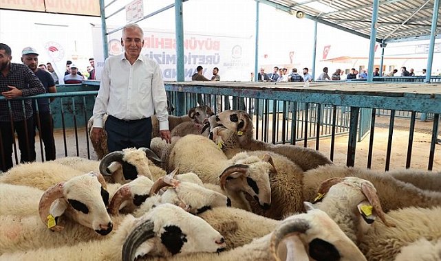 Çiftçiye Küçükbaş Hayvan Yıkama Makinesi" desteği