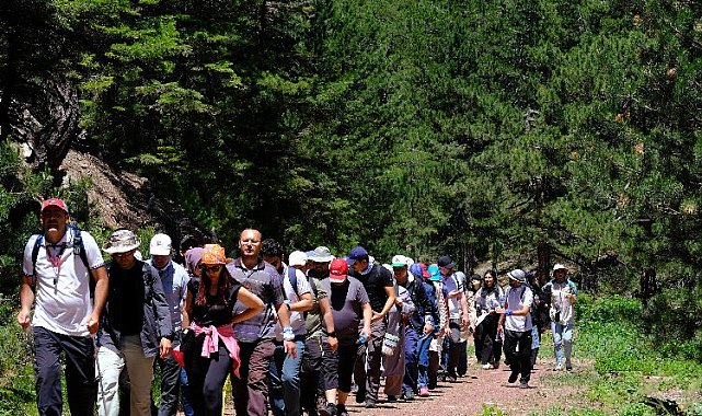 Doğaseverler Konya'nın yeşiline hayran kaldı