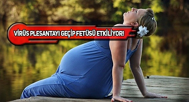 Hamilelere 'Maymun Çiçeği' Uyarısı!