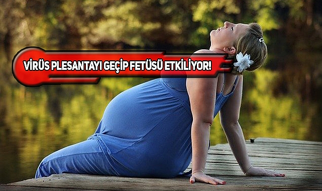 Hamilelere 'Maymun Çiçeği' Uyarısı!
