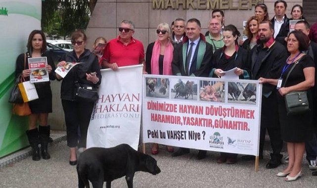 İzmir Bayındır'da hayvan katliamı iddiası