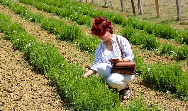 Kocaeli heyetinden TABİP çıkarması