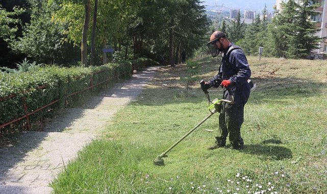 Kocaeli İzmit'te tırpan mesaisi