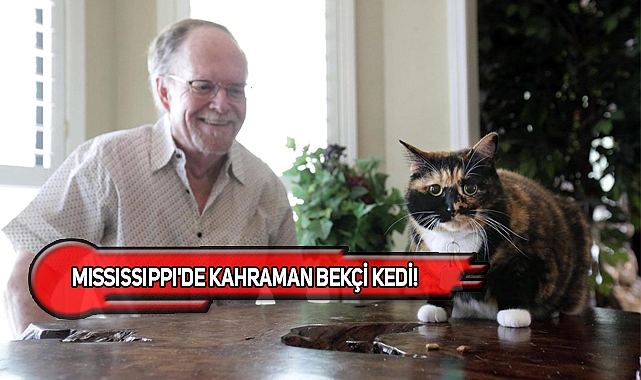 ABD'de Haydut Adlı Kedi Sahibini Kurtardı