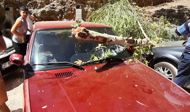 Adıyaman Besni'de otomobilin üstünde ağaç devrildi