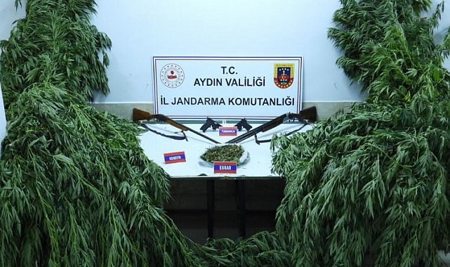 Aydın Jandarması kilolarca uyuşturucu ele geçirdi