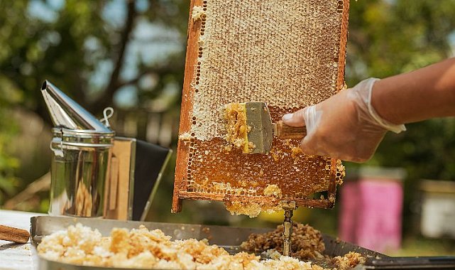 Bal ihracatı yüzde 76 arttı