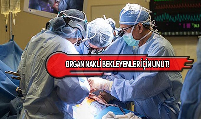 Böbrek Naklinde Çığır Açıldı!