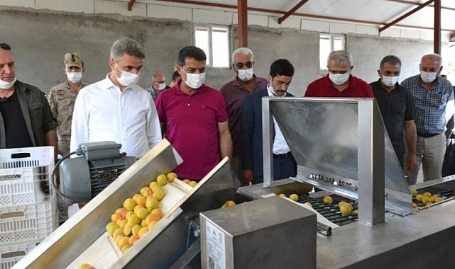 Egeli ihracatçılar kaliteli kuru meyve için çalışıyor