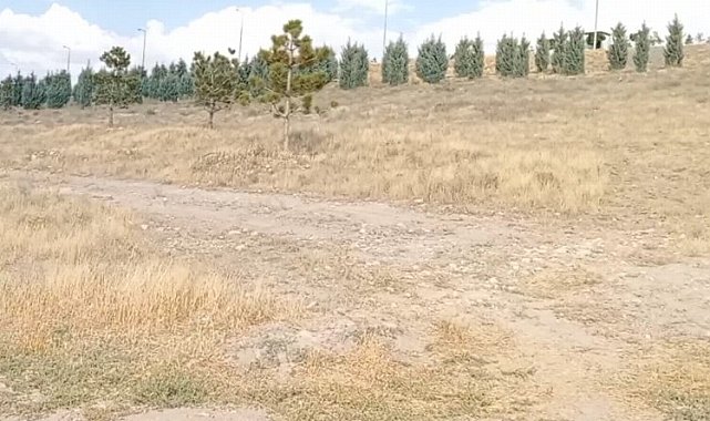 İYİ Parti Kayseri'den acı 'Şeker'