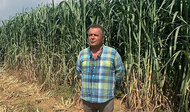 İzmir'de tarım ve hayvancılıkta rekor kıran hasat