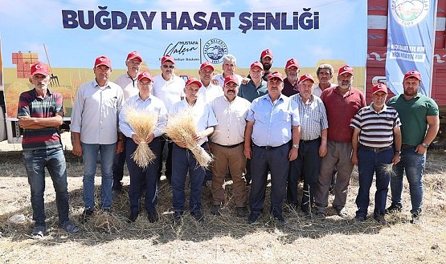 Kayseri Talas'ta hasat vakti