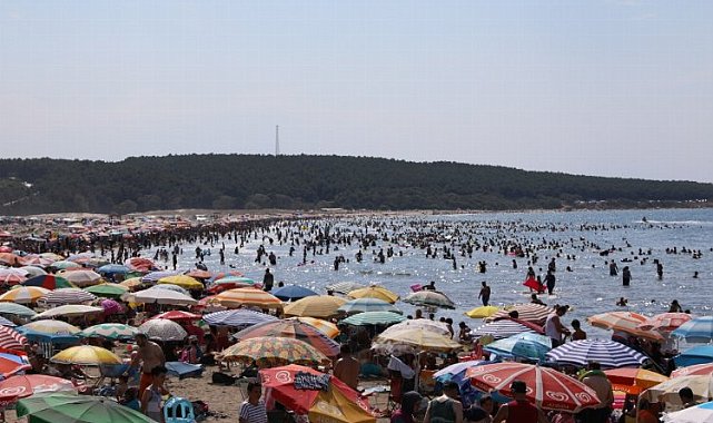 Kocaeli sahillerinde 121 kişi boğulmaktan kurtarıldı
