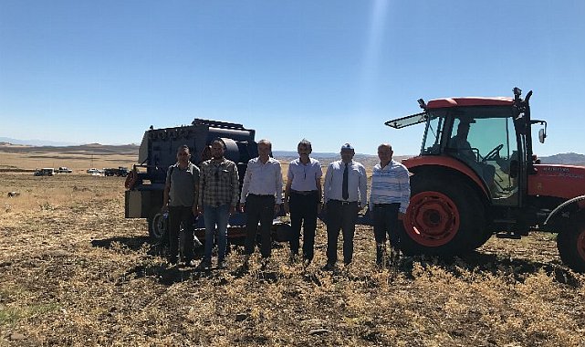 Malatya Arguvan'da nohut hasadı zamanı