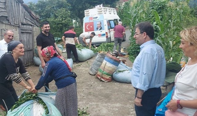Rize'de CHP'den çay üreticilerine 'çay malzemeli' ziyaret