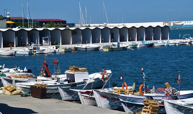 Balıkçılar mutlu! Hayaldi, gerçek oldu