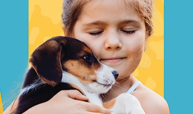Bursa İnegöl'ün en güzel kedisi ve köpeği seçilecek
