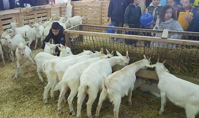 Hayvancılık sektörü Mustafakemalpaşa'da buluşacak
