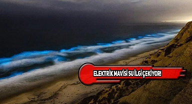 Los Angeles'ın Ünlü Plajı Gece Neon Işıkları Saçıyor