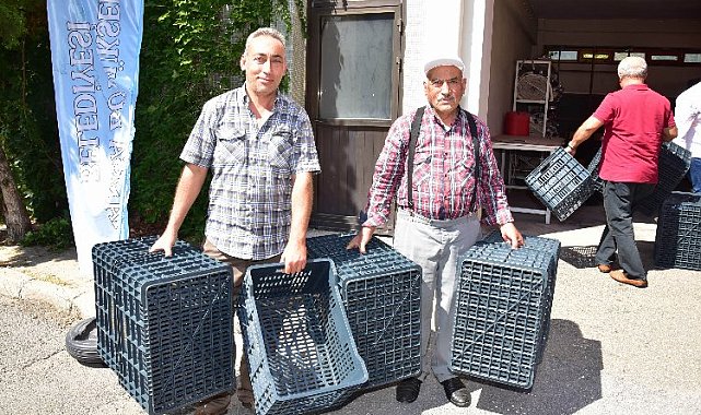 Manisa Salihli'deki üreticiler zeytin kasalarına kavuştu