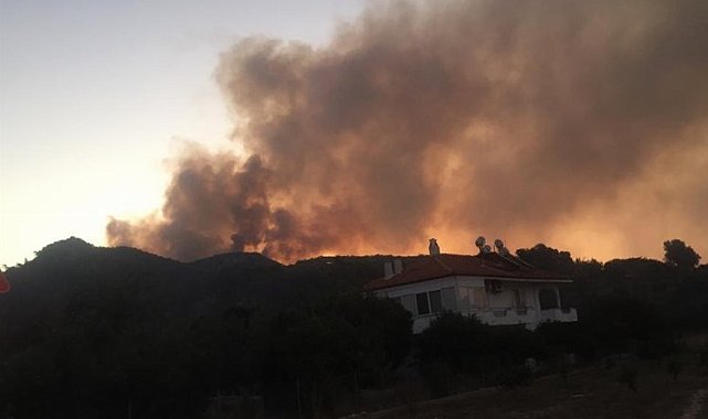 Muğla Ula'daki yangında 50 hektar ormanlık alan zarar gördü