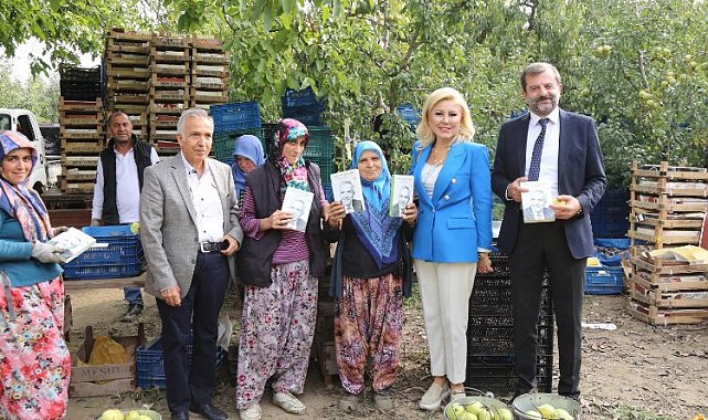Bursa Gürsu'da gazeteciler kadınlarla birlikte armut topladılar