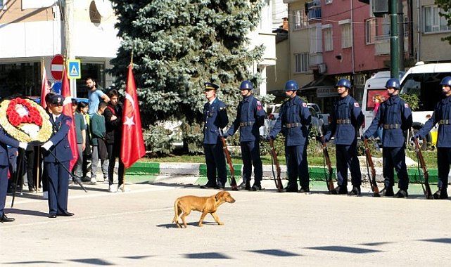 Bursa Yenişehir'de gülümseten anlar