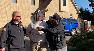 Evi Tahliye Etmeye Gelen Polislere Arılarla Saldırdı