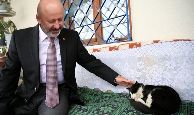 Kayseri Kocasinan'dan 'Kedi Kasabası'