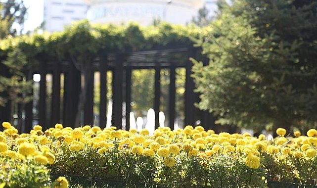 Kayseri'ye 'büyük' yeşil katkı