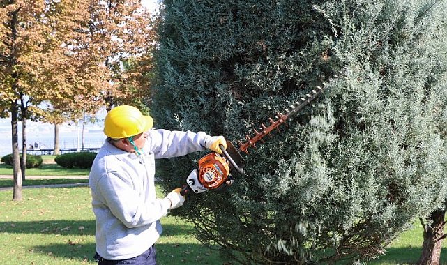 Kocaeli'den ağaçlara estetik dokunuş