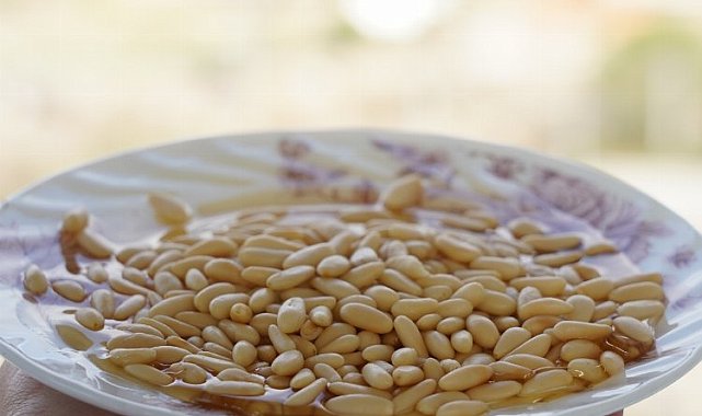 Milas'ın çam fıstığı gram altınla yarışıyor!