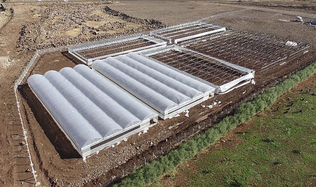 Şanlıurfa Siverek'teki sera projesinde çalışmalar hızlandı