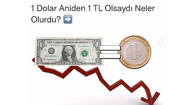 1 Dolar 1 Lira Olur mu?