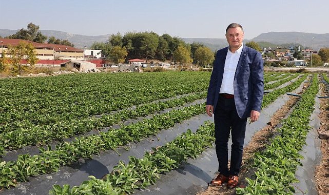 Başkan Savaş: "Hatay'da tüm uğraşımız çiftçimiz toprağını bırakmasın diye"