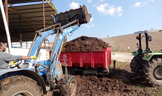 Bursa Yenişehir'de hayvan gübresine yöneliş artıyor