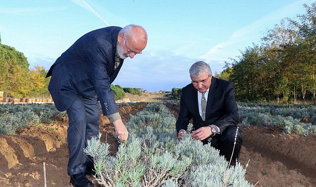 Cumhurbaşkanı Başdanışmanı Kasırga Sakarya'da
