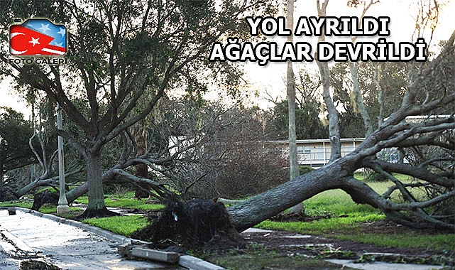 Florida'da Nicole Kasırgası