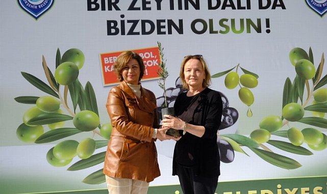 Sakarya Vadisi zeytin bahçesi olacak