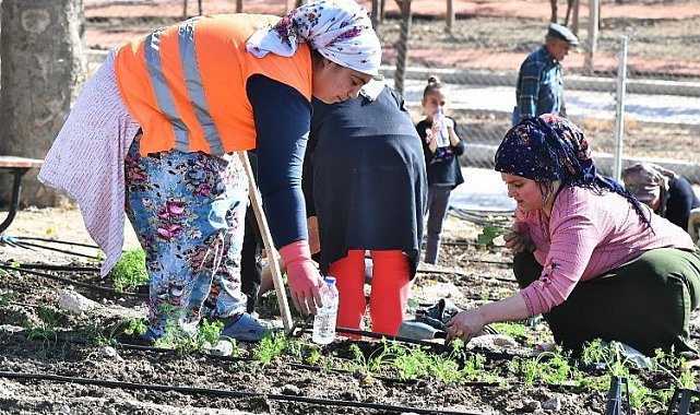 Şehirli çiftçiler Mahalle Bostanı'nda kış sebzeleri ekti