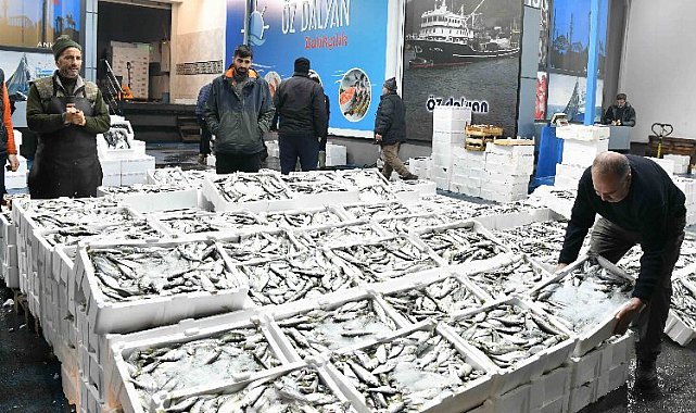 Barakadan modern tesise: Balık hali esnafı memnun