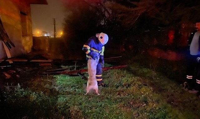 Düzce'de metruk binadaki yangında mahsur kalan köpek kurtarıldı